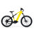 Color: Yellow/Black